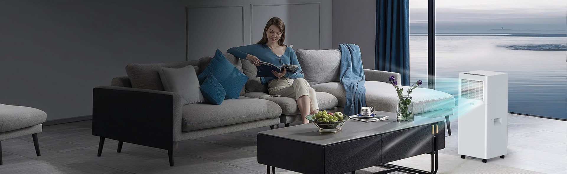 TCL Air Conditioner & Dehumidifer