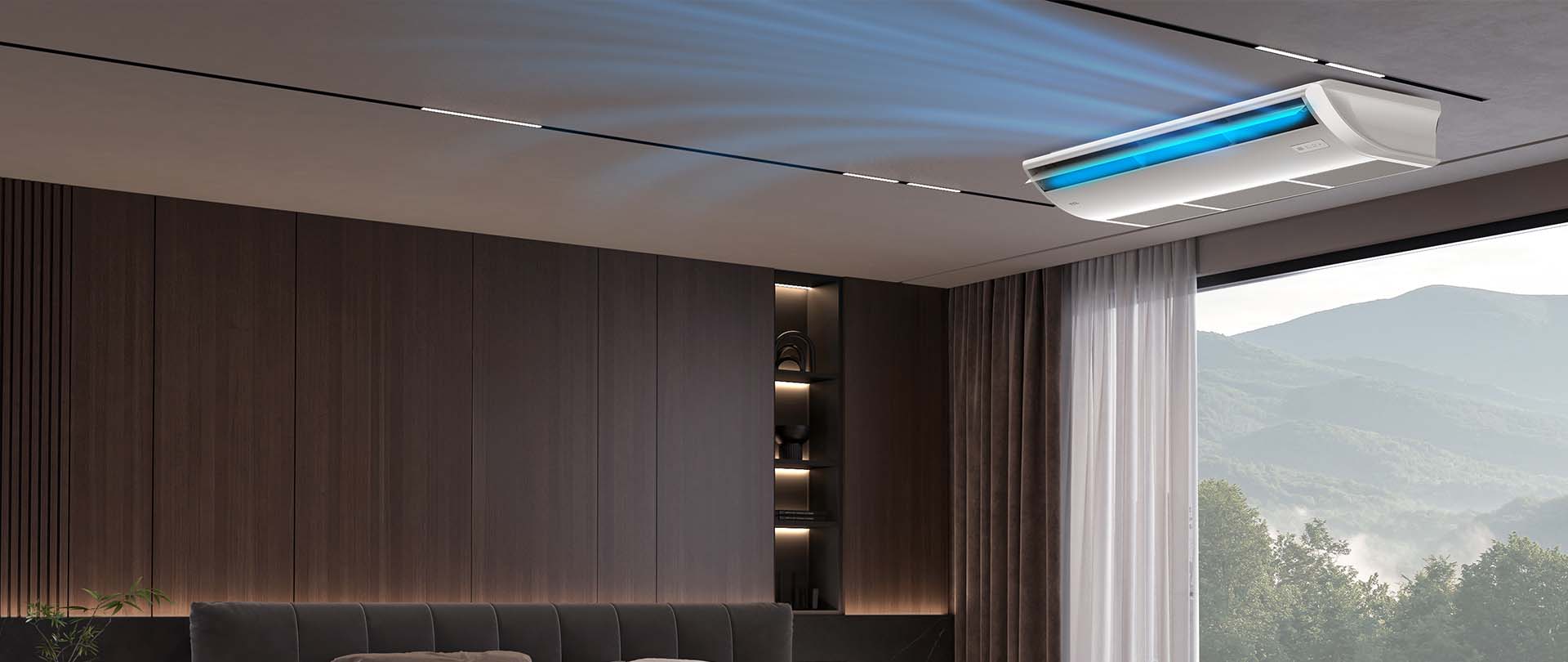 Ceiling & Floor