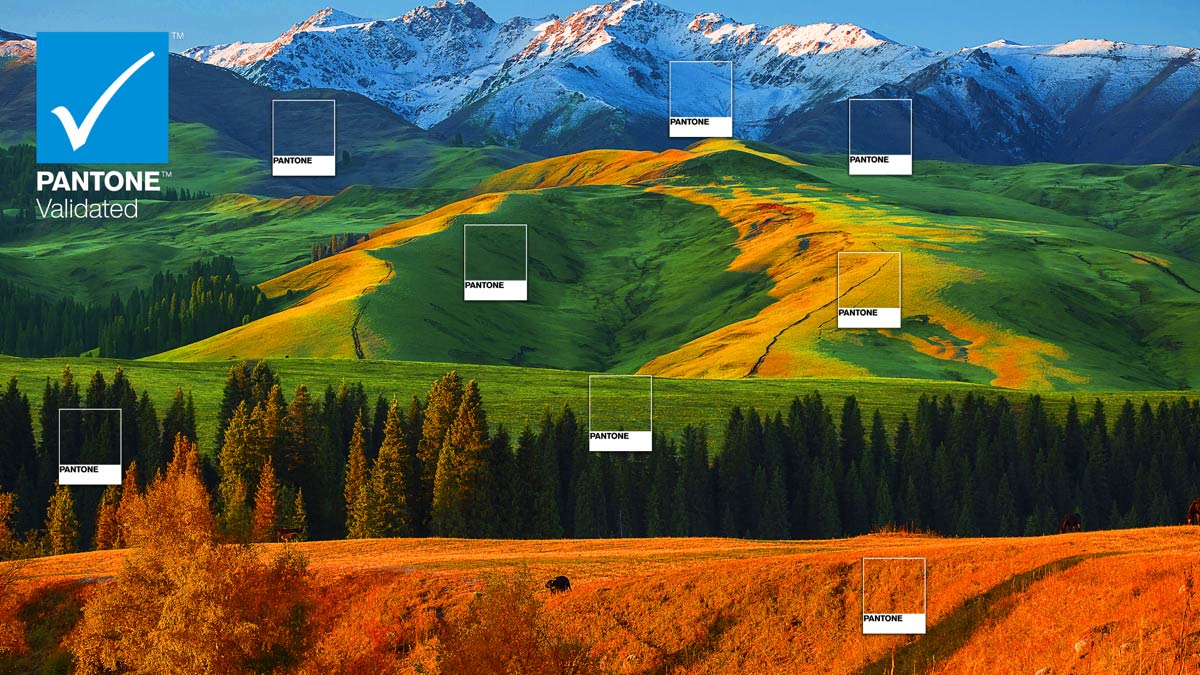 TCL 34R83Q Monitor PANTONE Validated