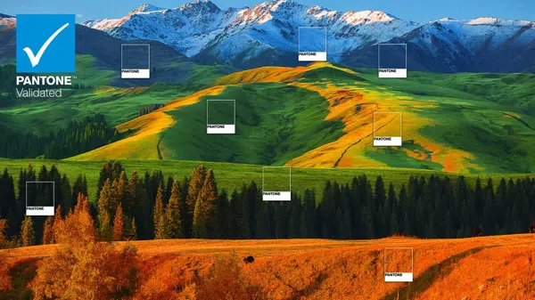 TCL 34R83Q Monitor PANTONE Validated