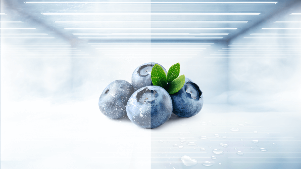 TCL C387BF Refrigerator Advanced Cooling and Convenience