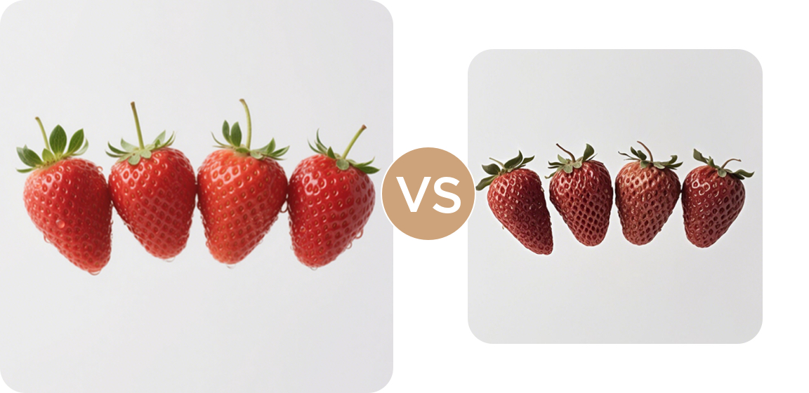 Magnet Fresh 360° VS Conventional Fresh Zone