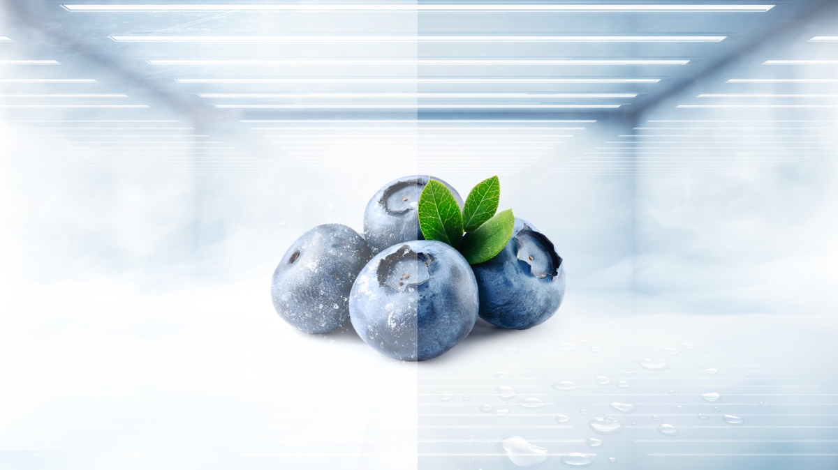 C521CD Refrigerator Total No Frost