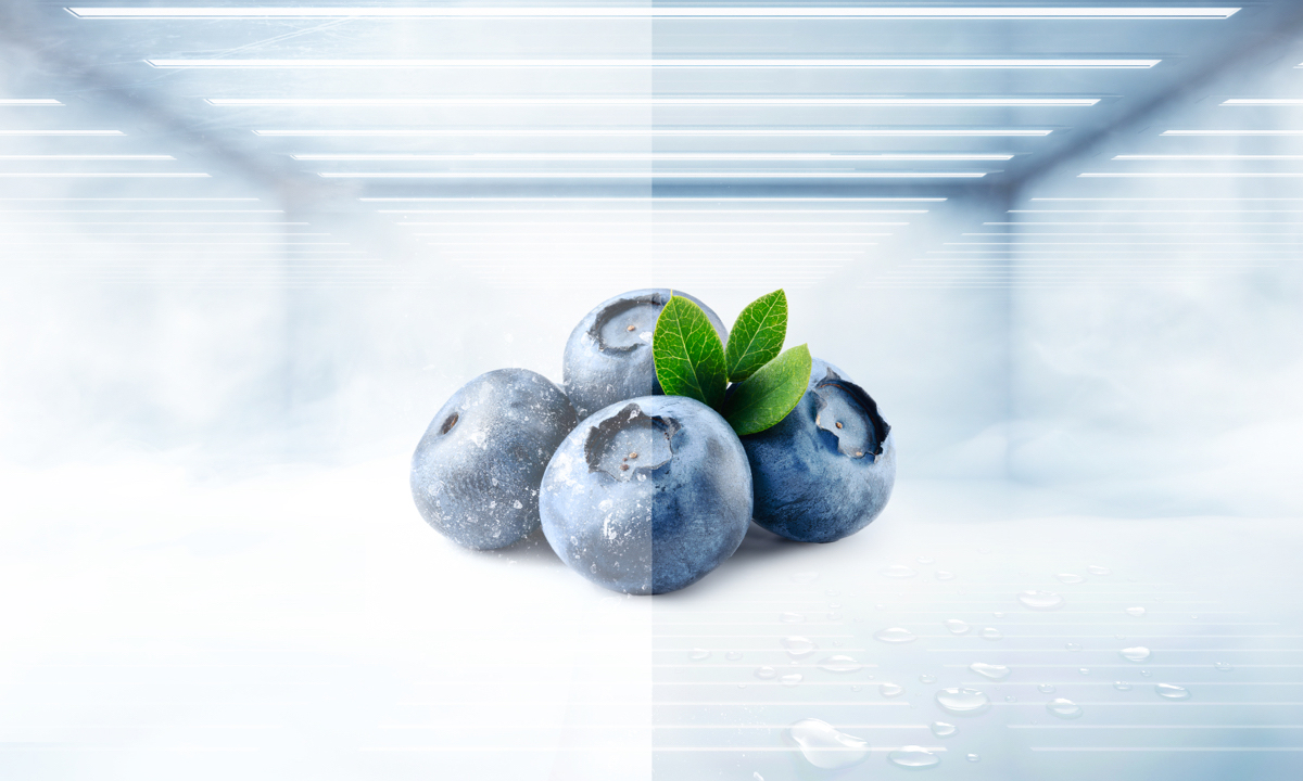 Refrigerador Empotrado Libre TCL C521CD Sin Nada de Escarcha