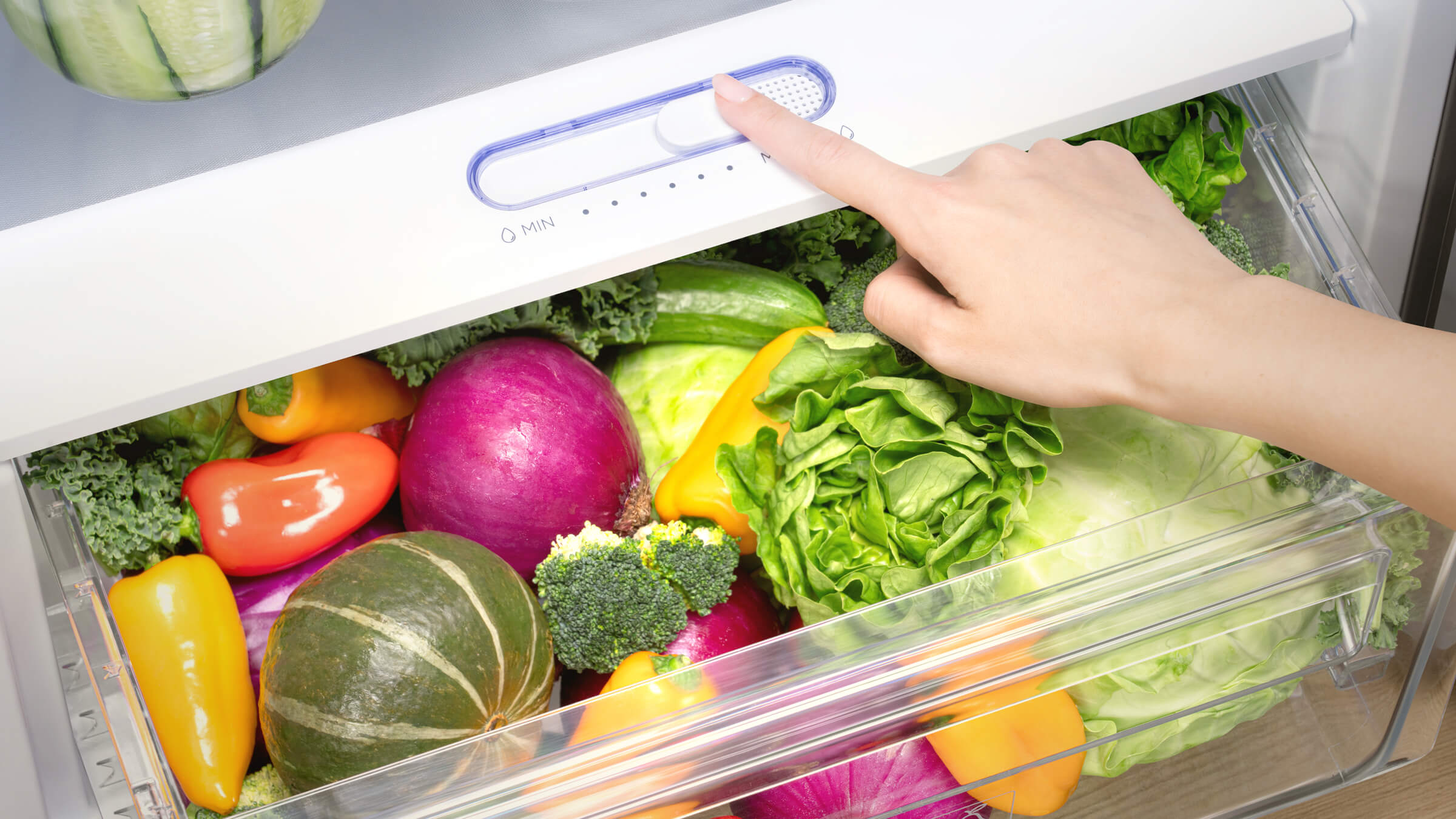 TCL P249TM Top Mount Refrigerator Humidity Slider Crisper