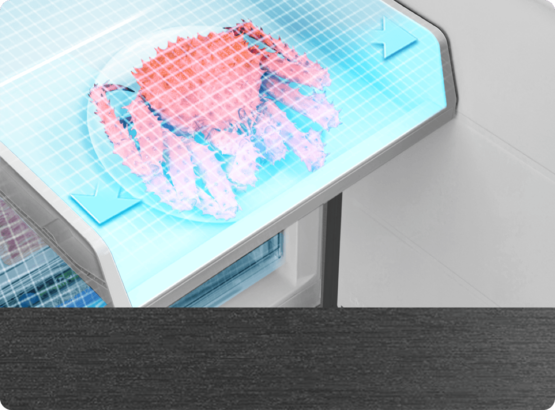TCL Refrigerator P350BF XL Freeze Zone