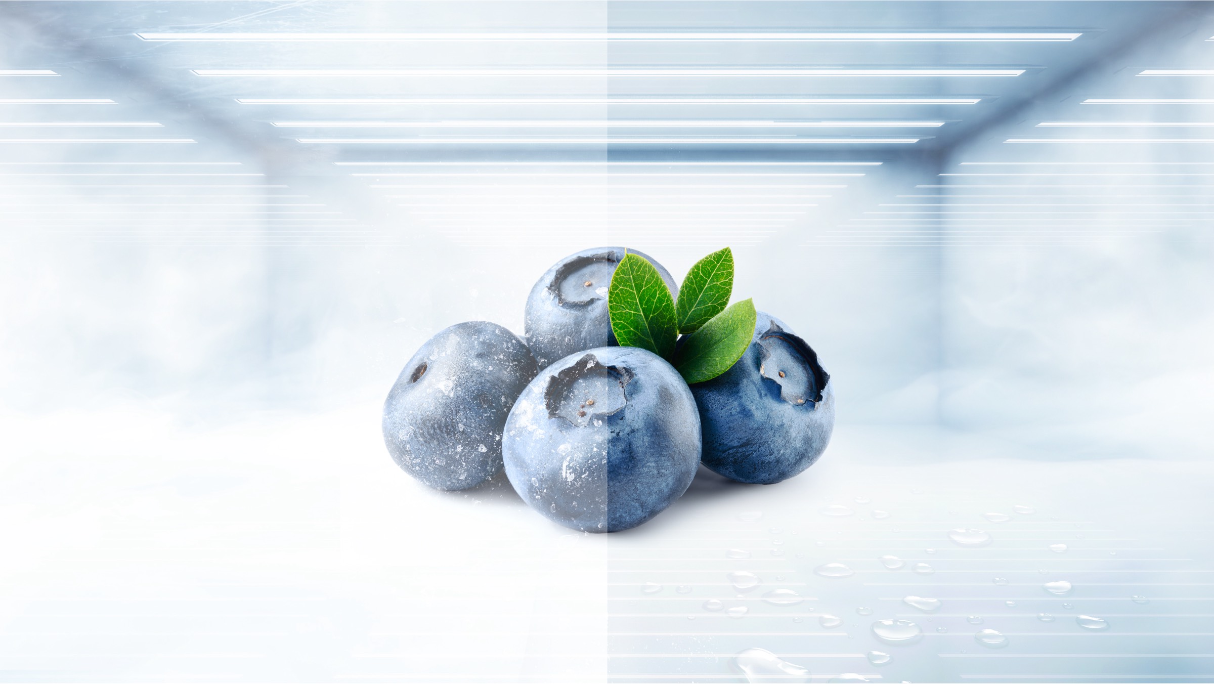 TCL C387BF Refrigerator Foldable and Reversible Glass Shelf