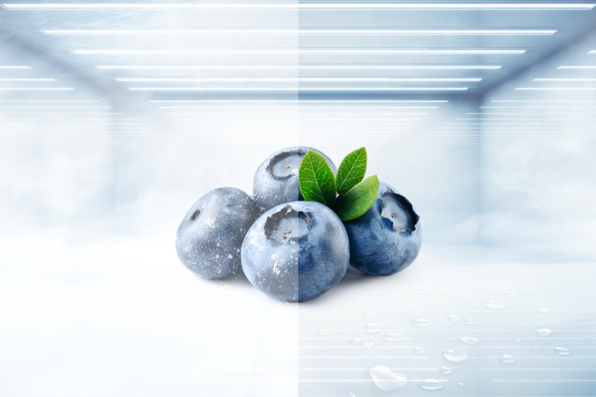 乐竟体育 Refrigerator P350BF Embracing Advanced Cooling and Convenience