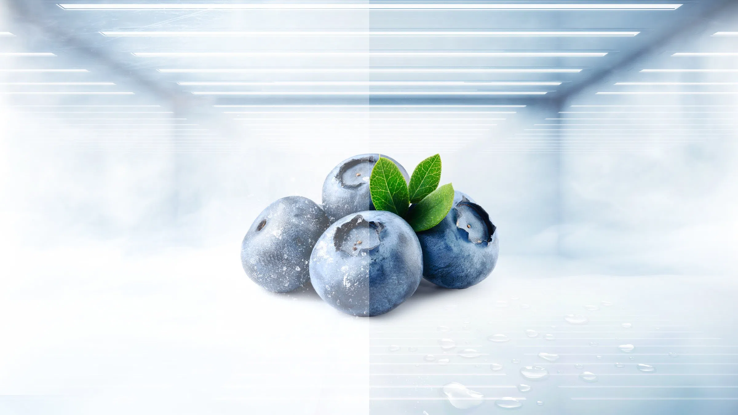 TCL F153TM 153L Double Door Fridge | Kulan Electronics