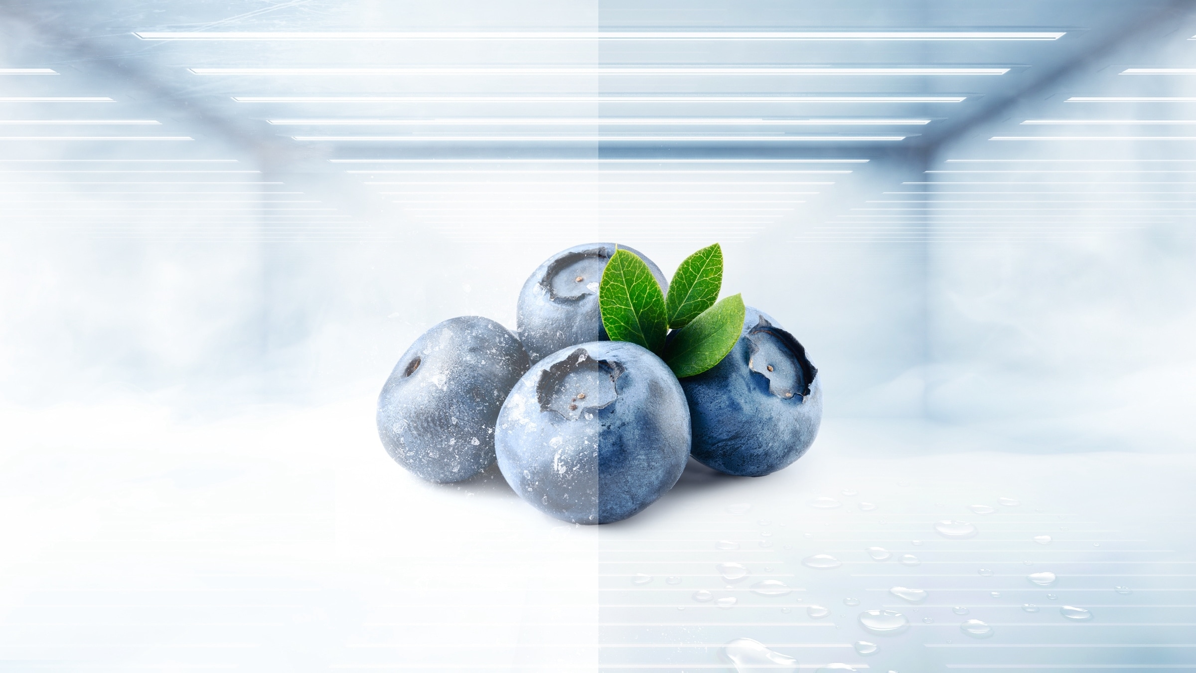 TCL C387BF Refrigerator Foldable and Reversible Glass Shelf