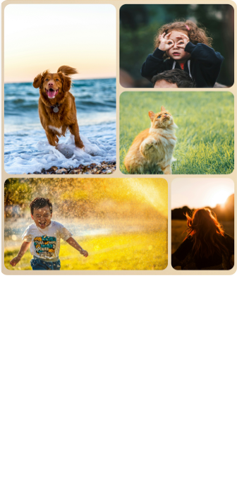 A300W  NXTFRAME TV Customized Carousel