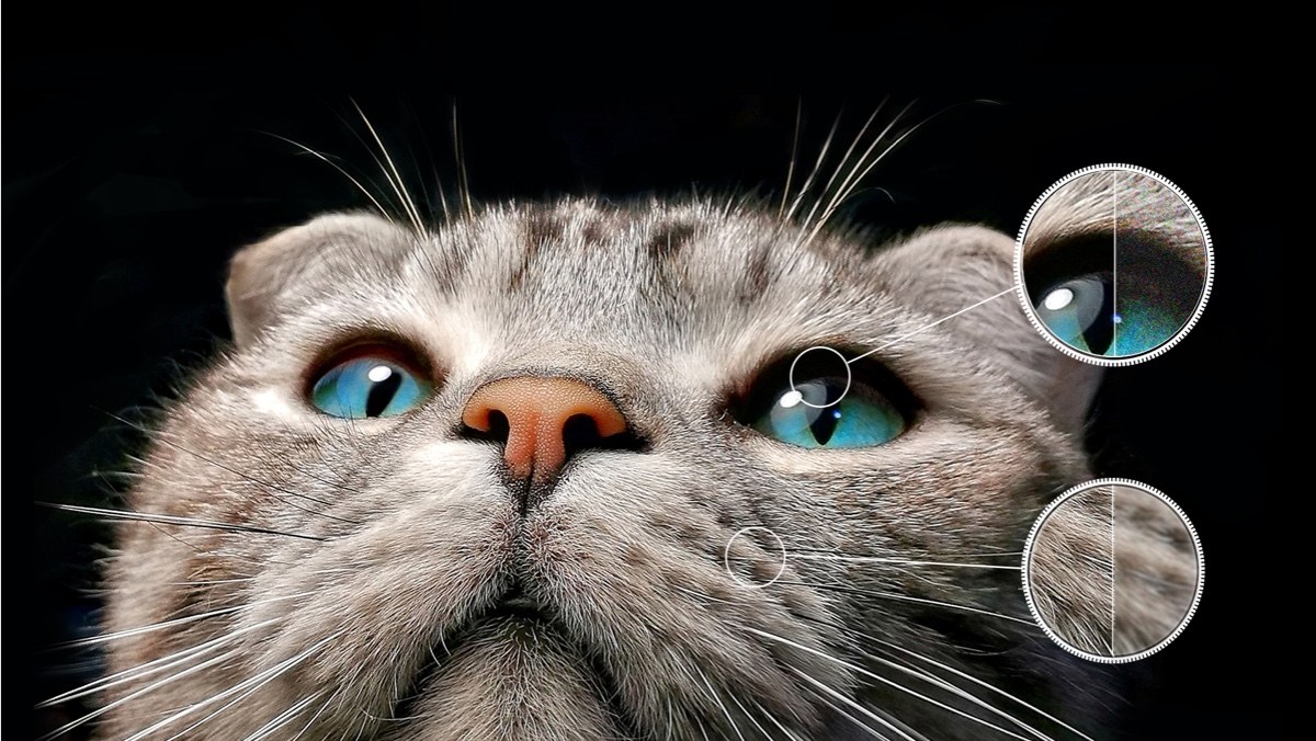 TCL C645 QLED TV Ai-CLARITY