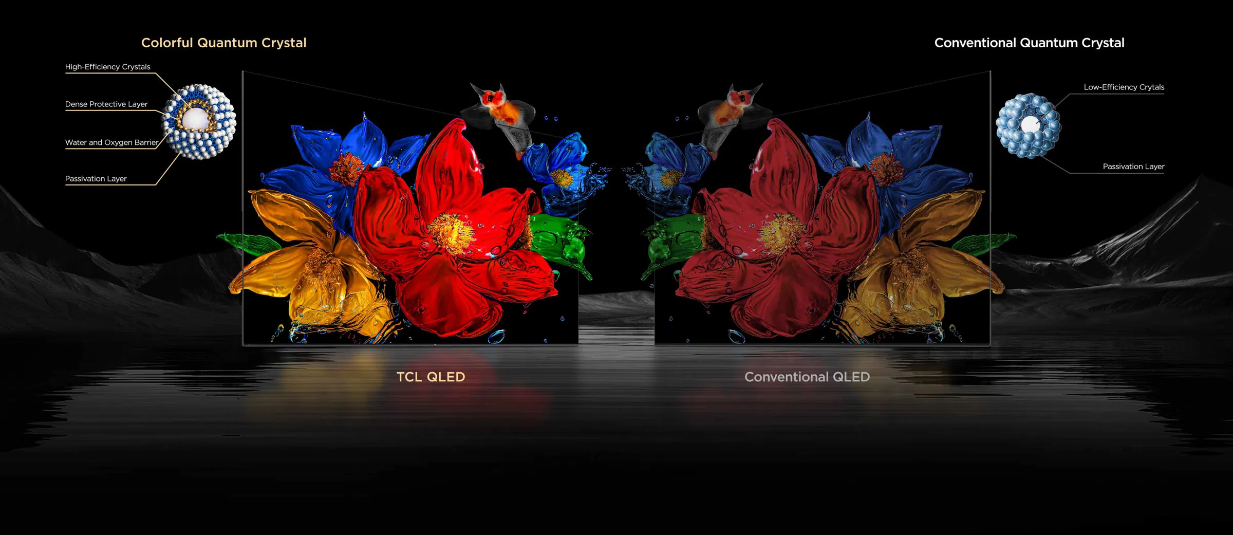 TCL QLED vs. Conventional QLED טלוויזיה חכמה C61K Premium QD-MiniLED מבית TCL