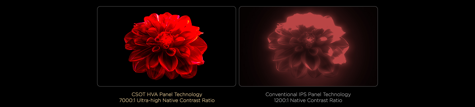 Up to 7000:1* ultra-high native contrast ratio