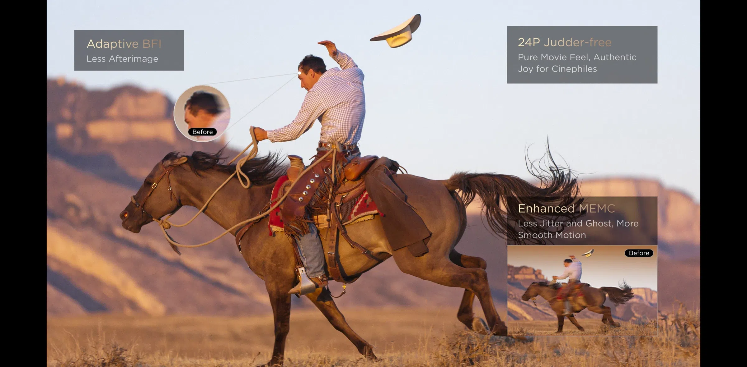 65C8L 4K 65" SQD-Mini LED Google TV AI MotionMaster