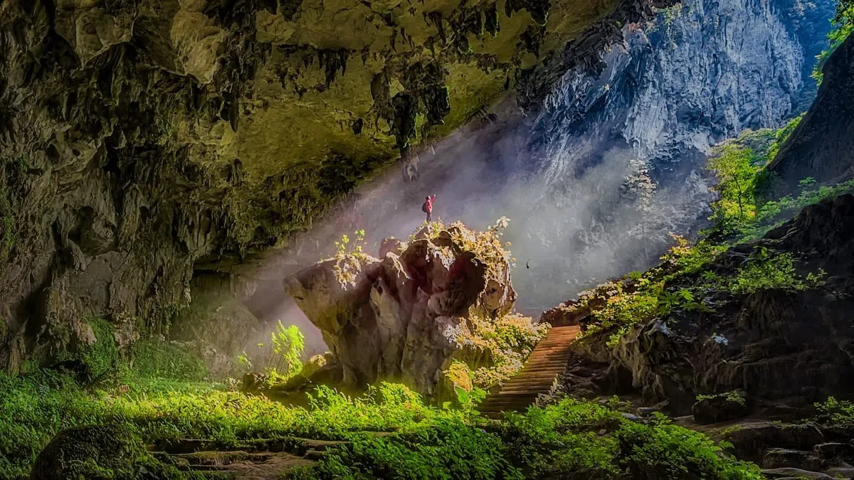 טלוויזיה חכמה C855 Premium QD-Mini LED מבית TCL