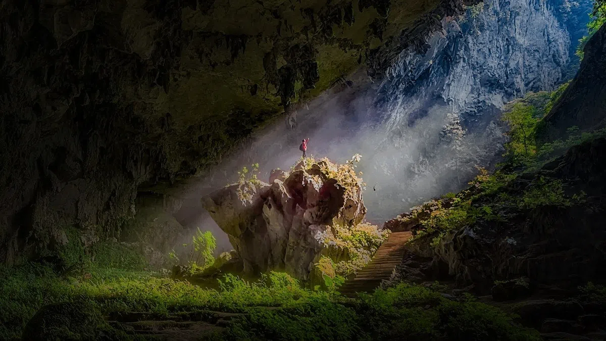 טלוויזיה חכמה C855 Premium QD-Mini LED מבית TCL