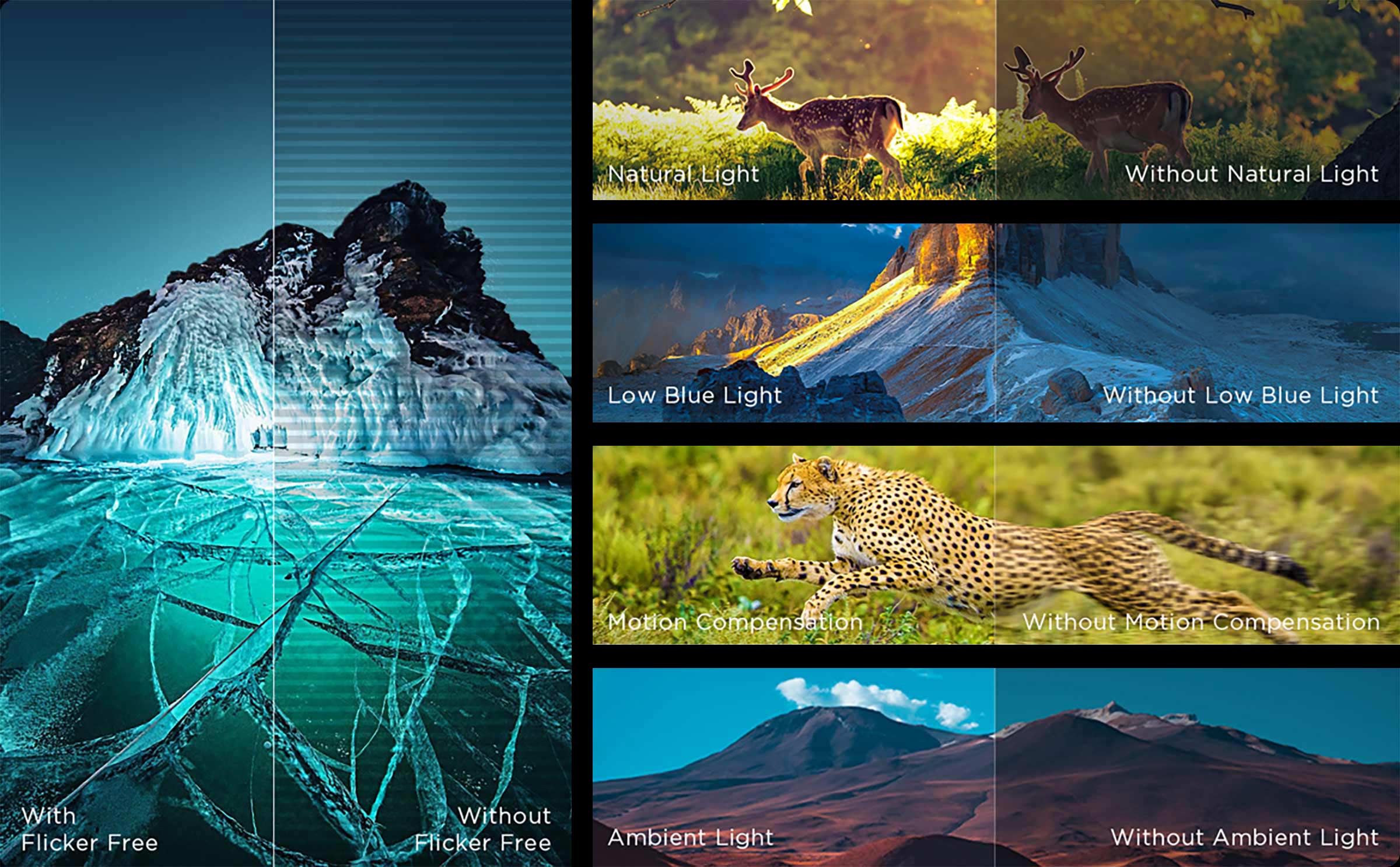 Authoritative picture quality certification