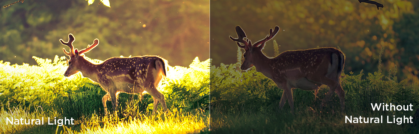 natural light optimization & without natural light optimization