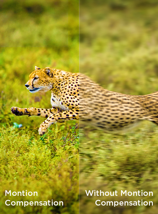 Motion Compensation vs without Compensation