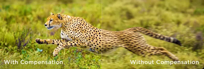 Motion Compensation vs without Compensation