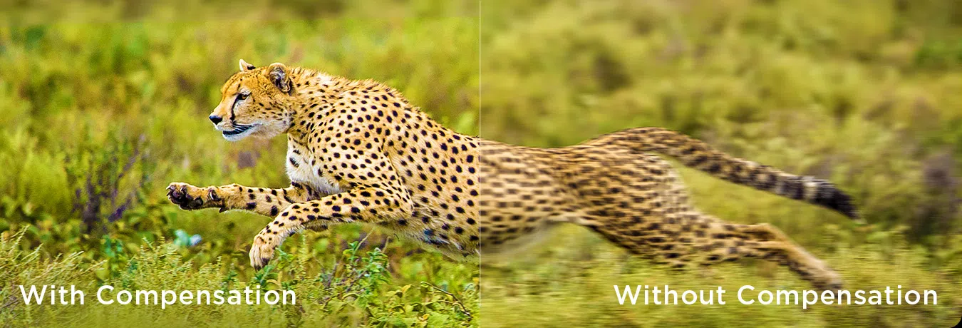 Motion Compensation vs without Compensation