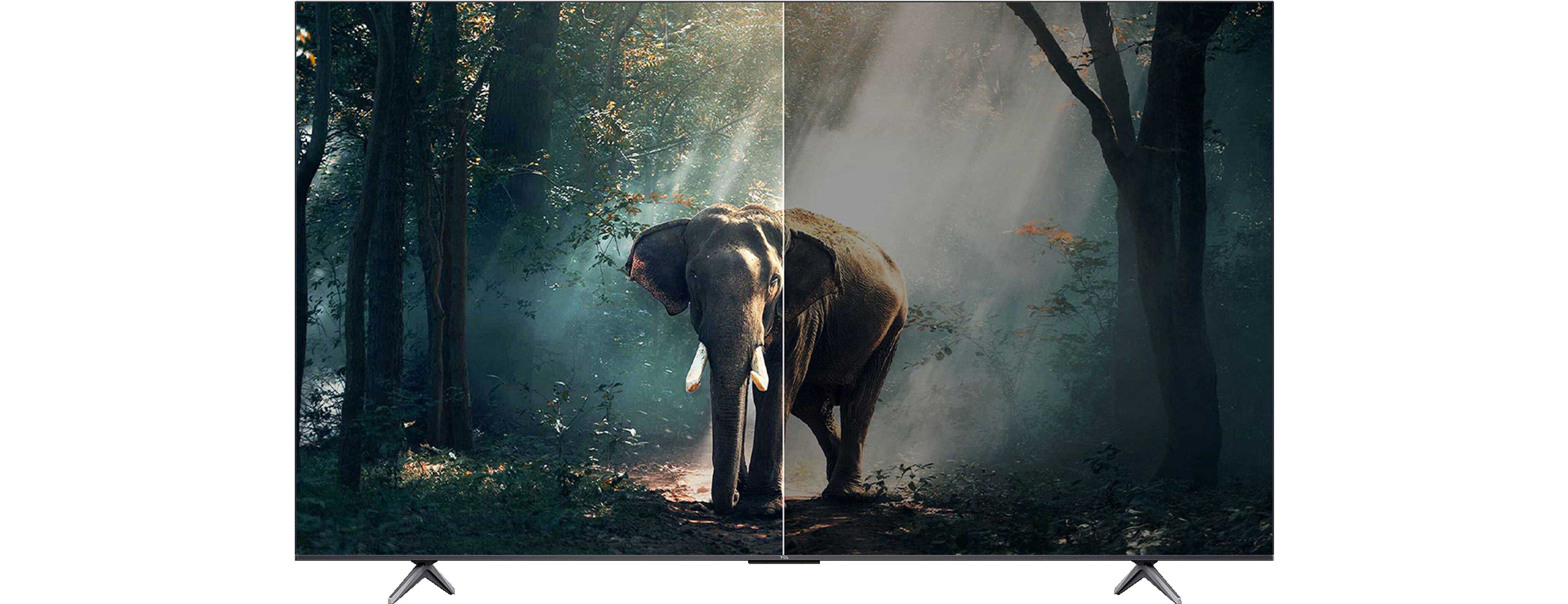 TCL AI Contrast Show