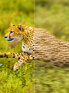 Motion Compensation vs without Compensation