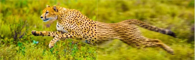 Motion Compensation