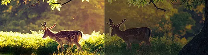 Natural Light vs without Natural Light