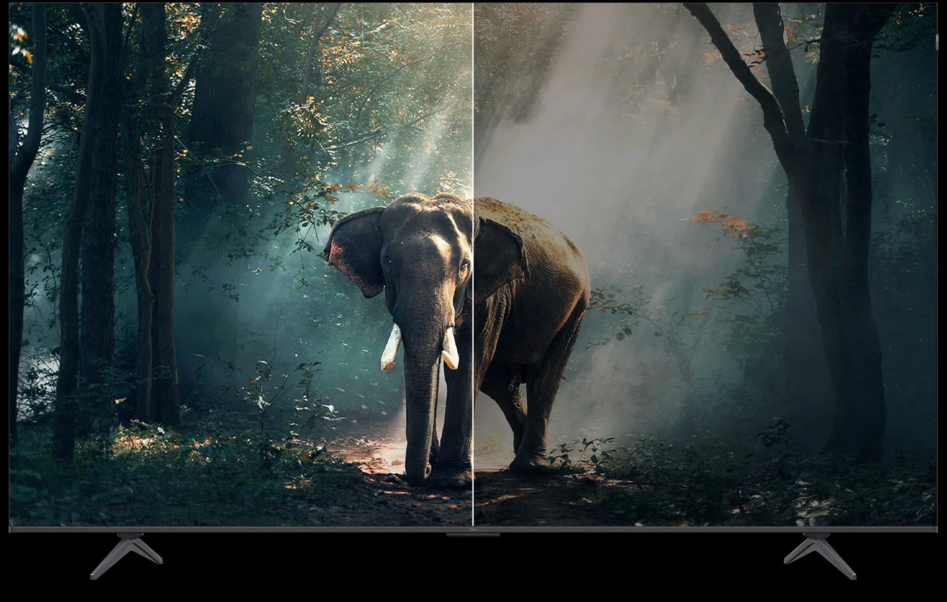 Ai Contrast