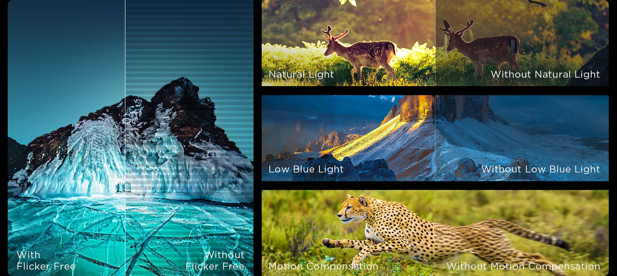 Authoritative picture quality certification