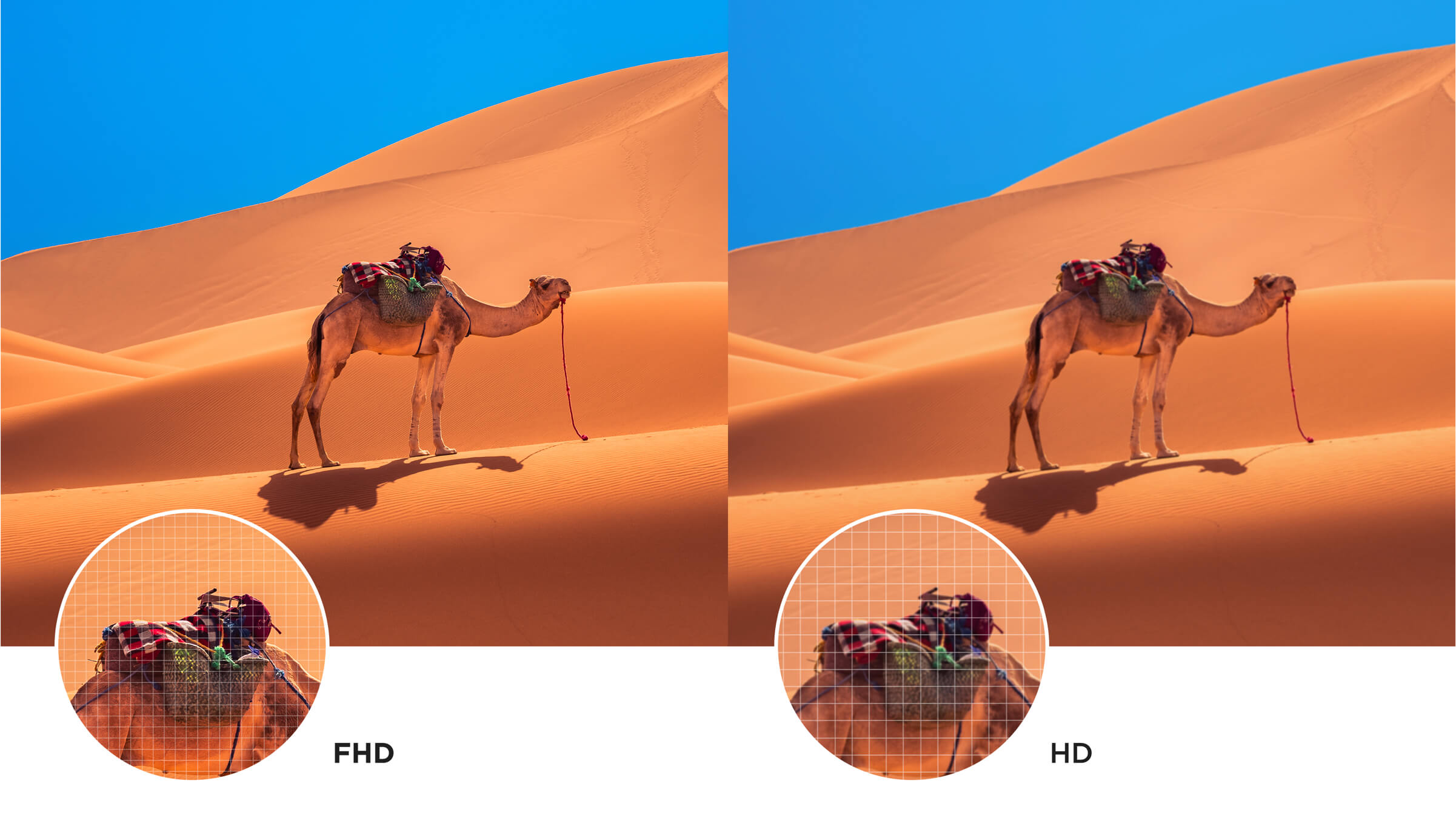 iFFALCON S55 FHD TV & HD TV Display