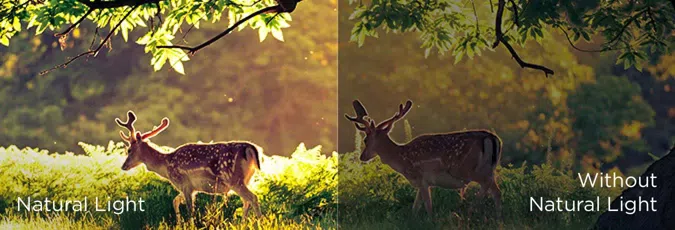 Multiple Eye Care-ambient light adaptively