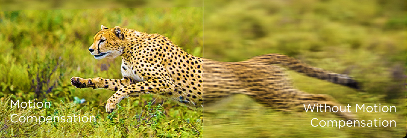 Multiple Eye Care-MEMC стабилизация движения