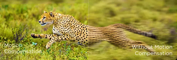 Multiple Eye Care-MEMC motion stabilization