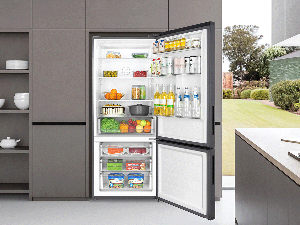 416L Bottom Mount Fridge | TCL Australia