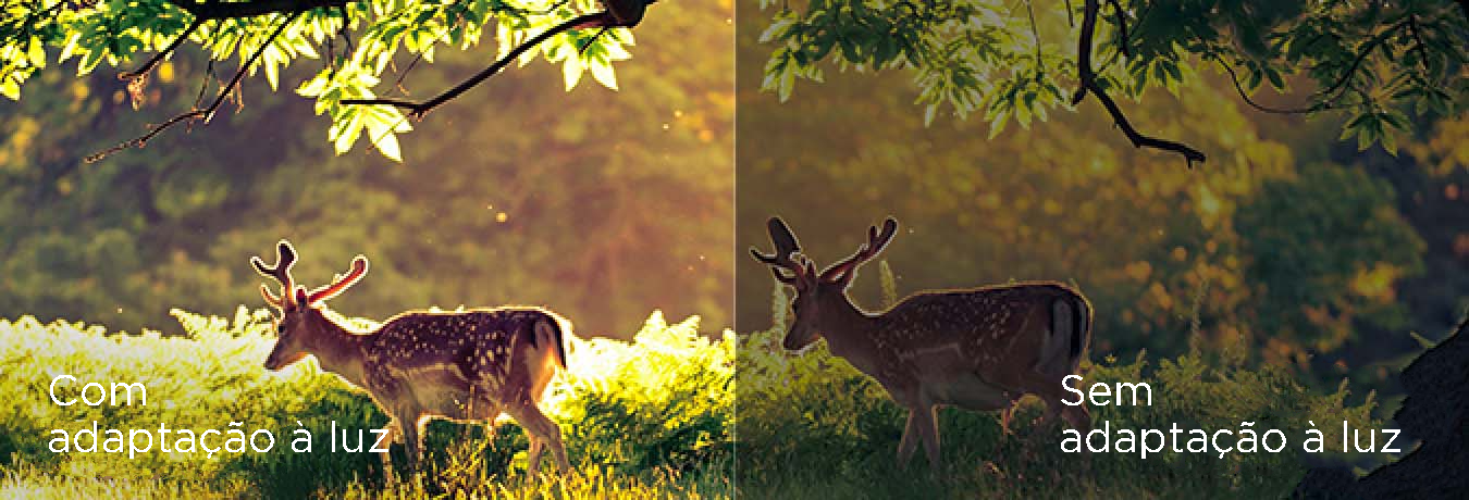 Multiple Eye Care-ambient light adaptively