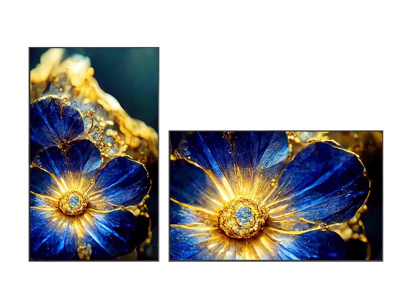 专业商用显示 Picture 1