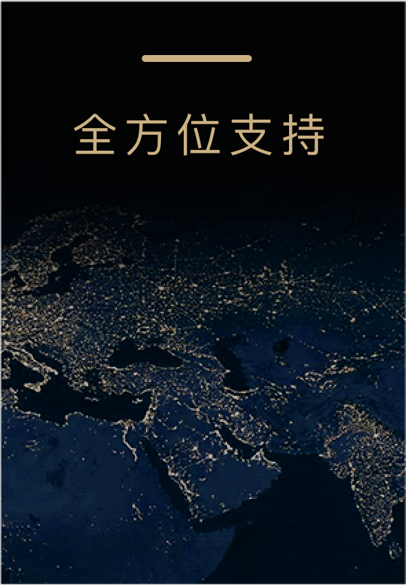 我们提供全方位的培训和支持，助您在市场中取得成功