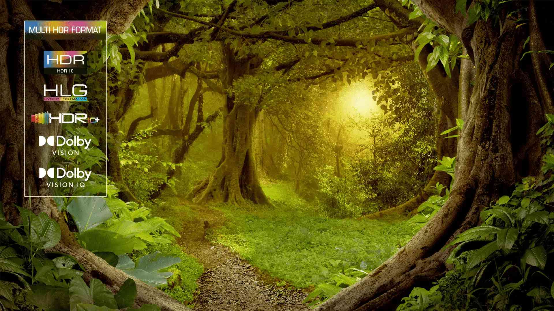 TCL tv 75C835 features