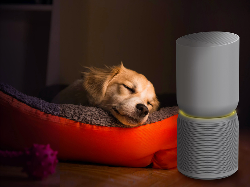 2-in-1: Air Purifier and Ambient Light