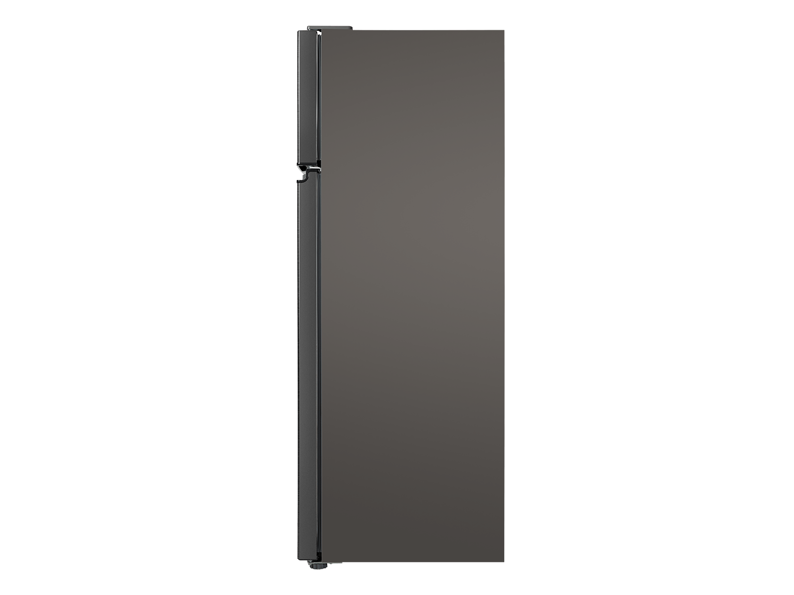 Top Freezer Refrigerator RF207TSE1 - TCL Europe