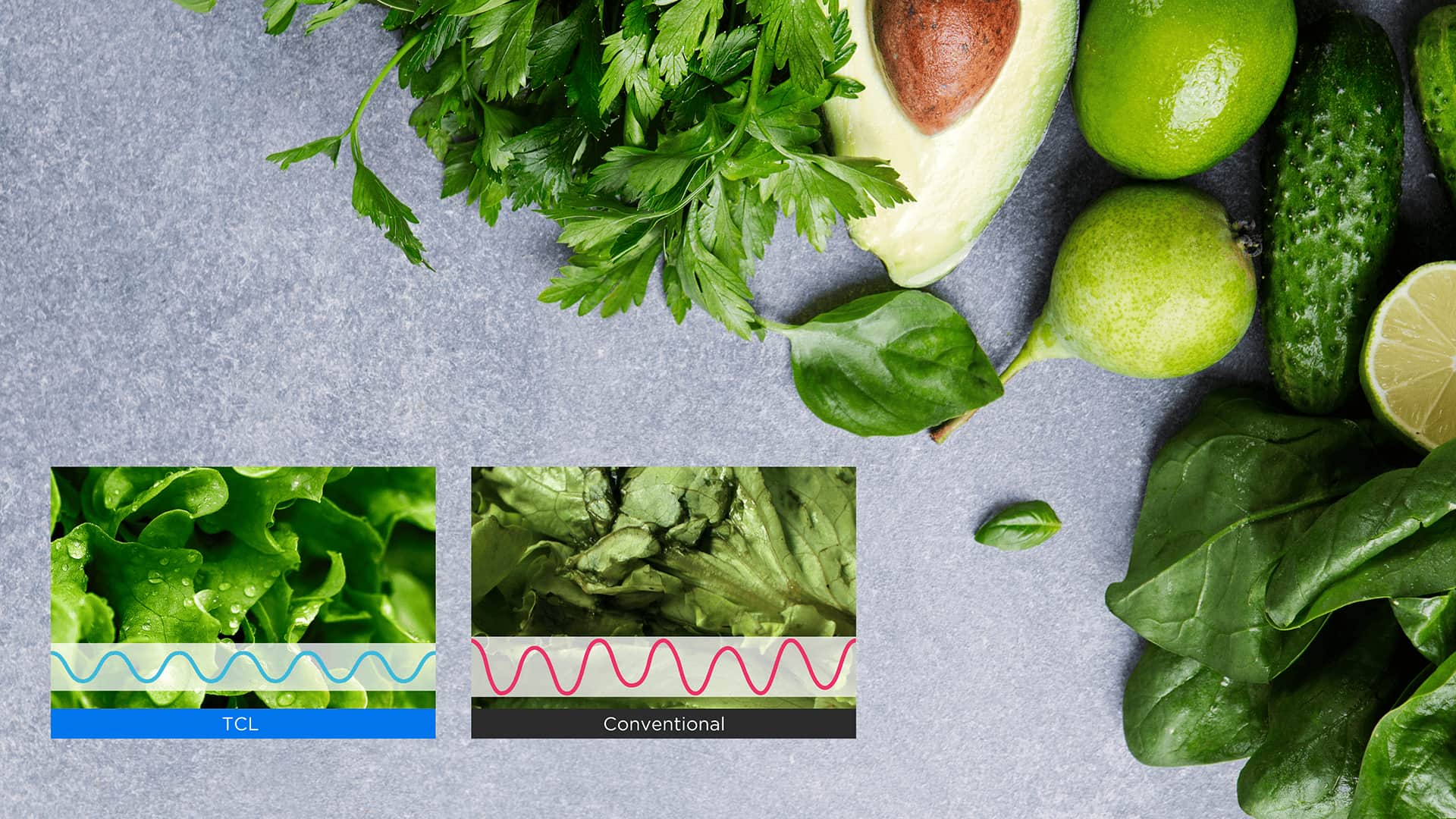 TCL fridge can temperature accuracy and consumption optimisation