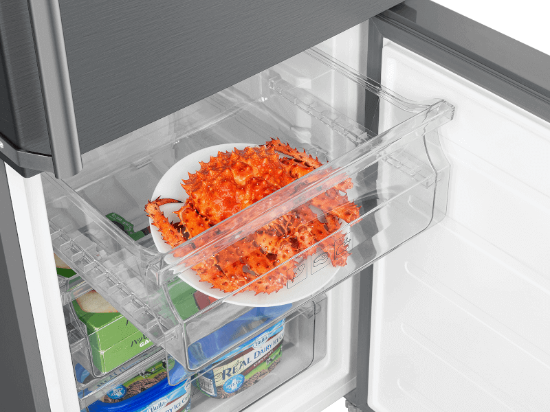 Bottom Freezer RP318BXE3 Refrigerators - TCL Europe