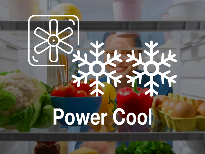 TCL Refrigerator rp318bxf0 Power Cool