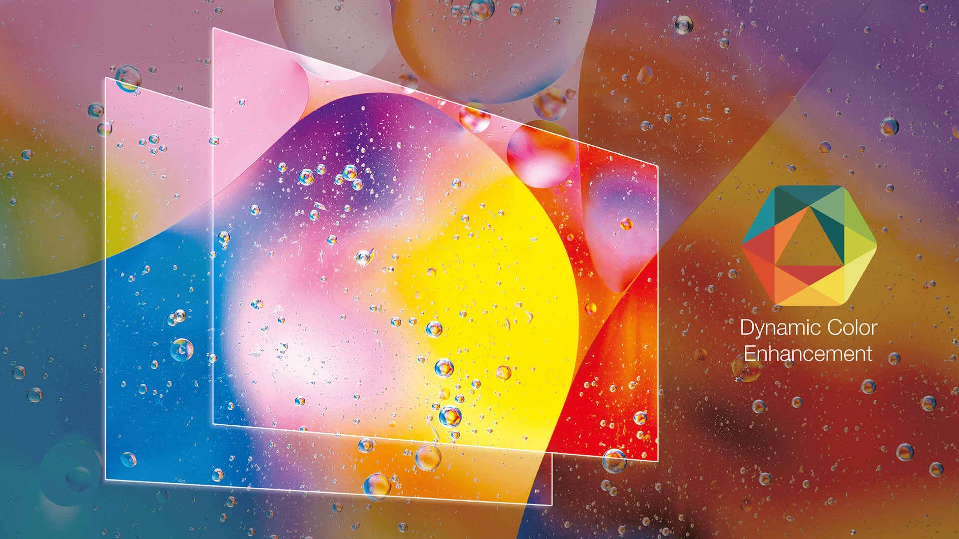 55 Inch TCL Smart Google TV 55V6B