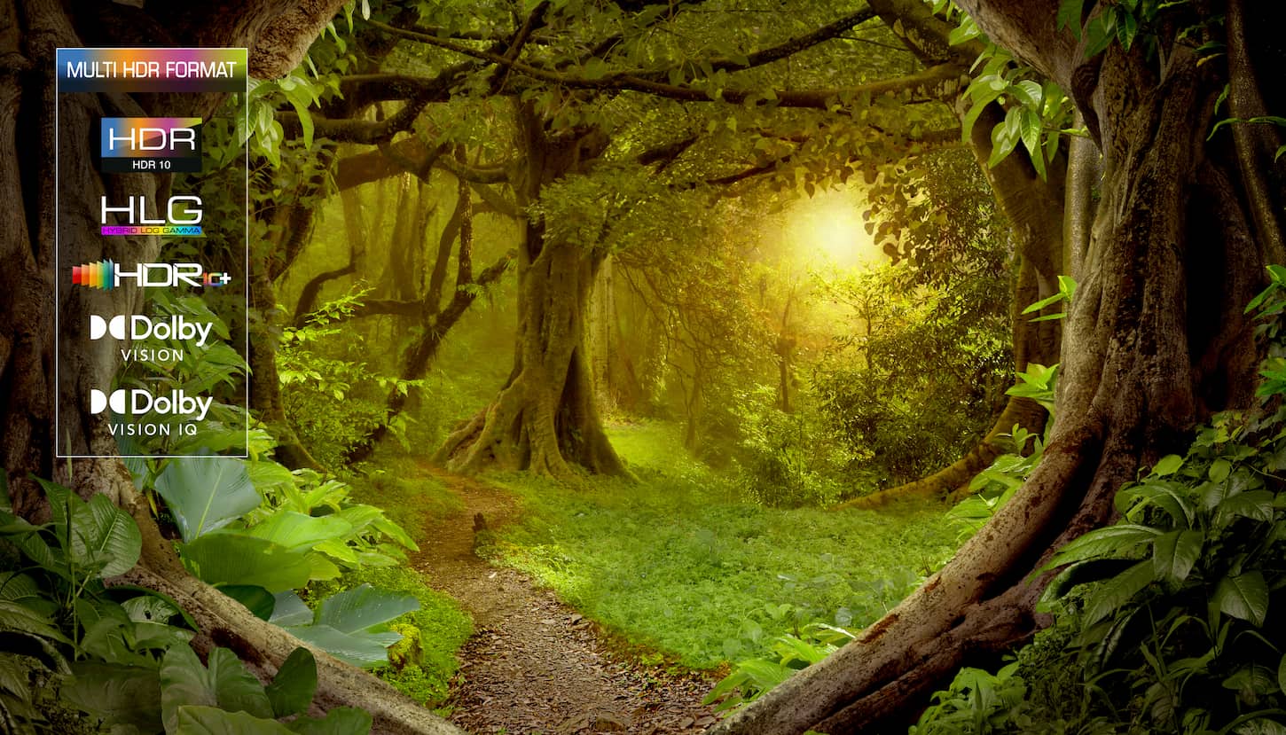 HDR MULTIFORMAT TCL TV