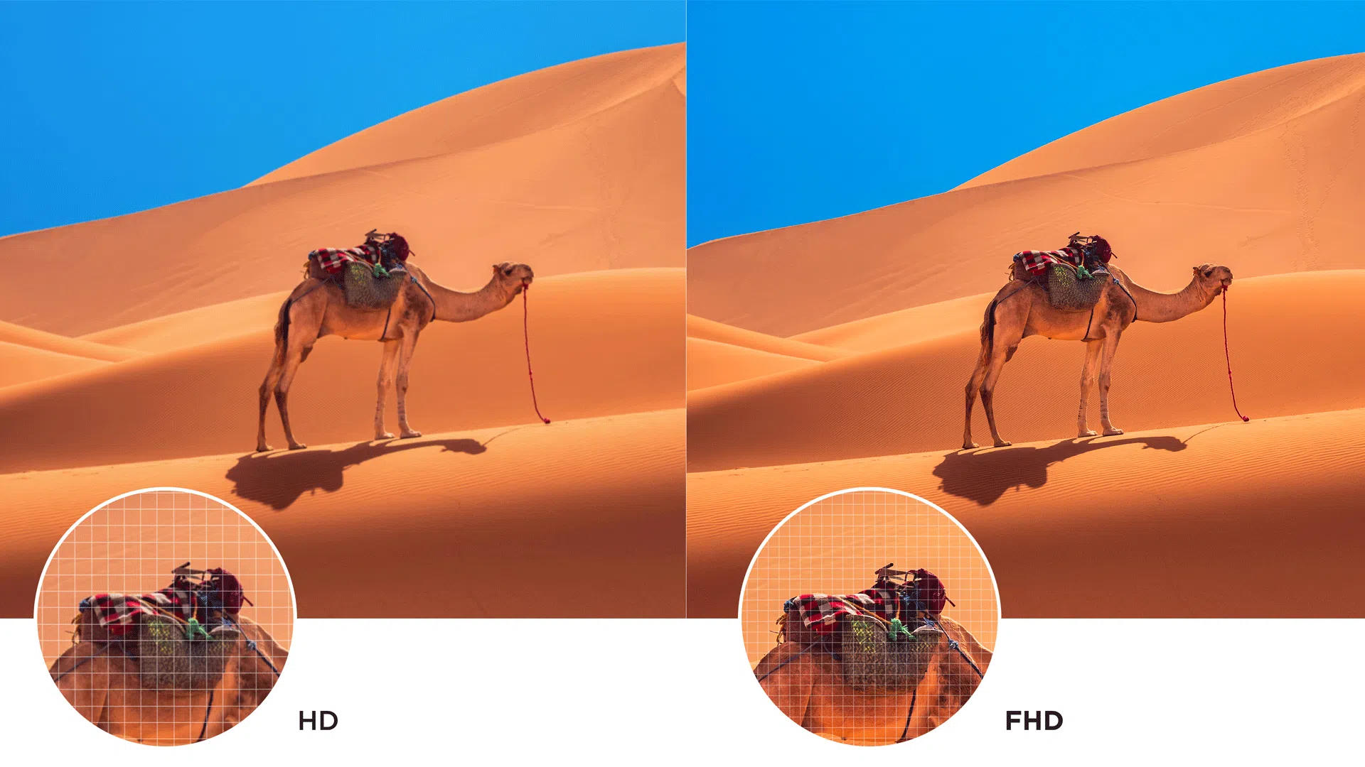 Frameless Full HD HDR TV with Android TV