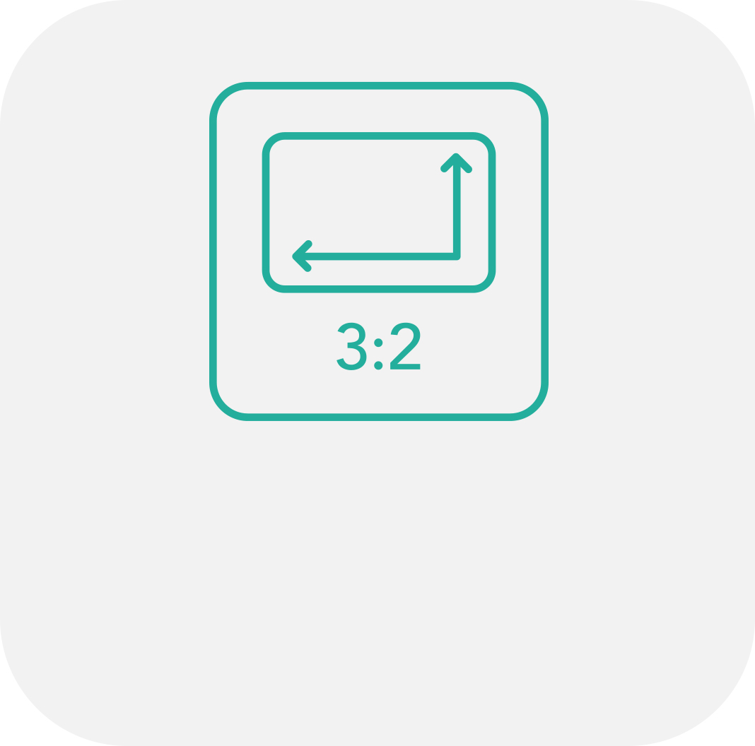 02 2 4 02.jpg?t=1740990592267&w=181&webp=true&dpr=1